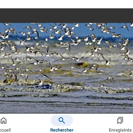 Bed & Breakfast Chambre, Salle De Bain, Toilette, Salon Privatif Sainte-Marie-du-Mont (Manche)