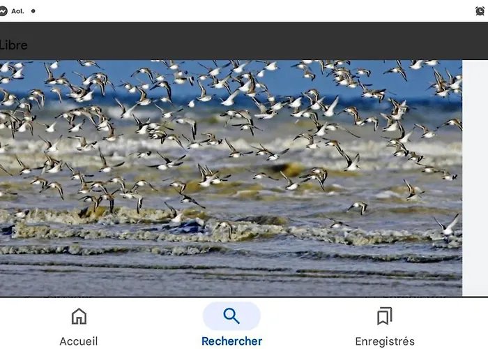 Bed & Breakfast Chambre, Salle De Bain, Toilette, Salon Privatif Sainte-Marie-du-Mont (Manche)