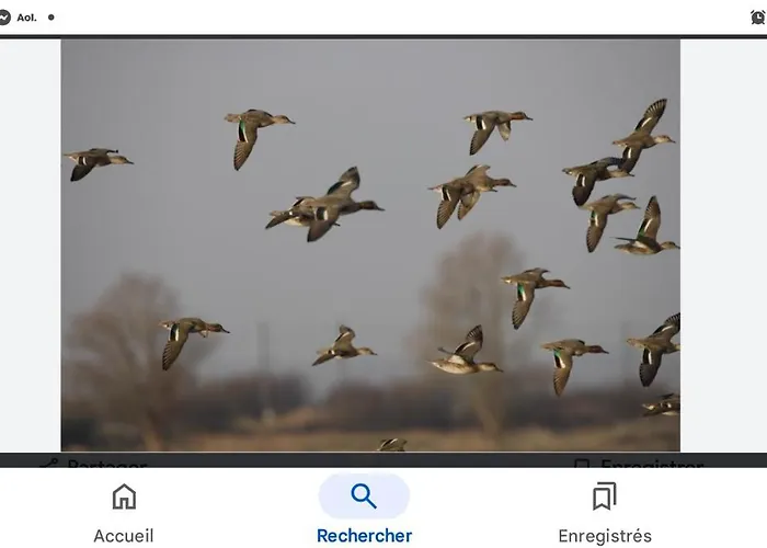 Chambre, Salle De Bain, Toilette, Salon Privatif Bed & Breakfast Sainte-Marie-du-Mont (Manche)